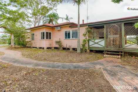 Property photo of 14 Uhlmanns Road Black Mountain QLD 4563