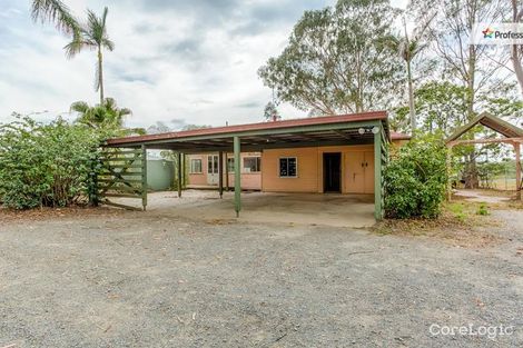 Property photo of 14 Uhlmanns Road Black Mountain QLD 4563