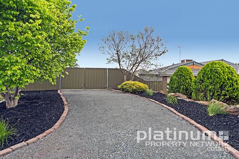 Property photo of 48 Mander Crescent Craigmore SA 5114