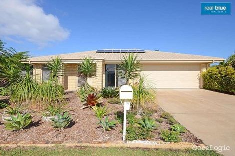 Property photo of 10 Bushlark Avenue Eli Waters QLD 4655