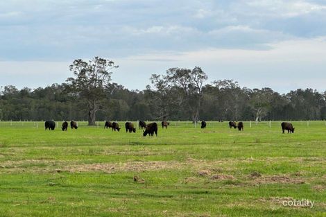 Property photo of 319 Plummers Lane Clybucca NSW 2440