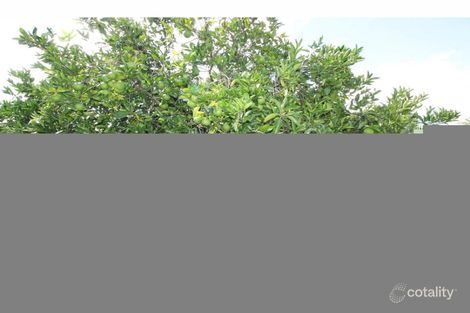Property photo of 13 Watersedge Avenue Basin View NSW 2540