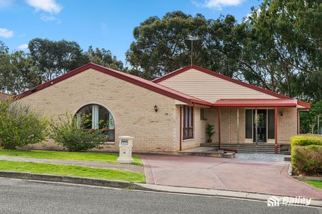 19 Irene Ave, Hope Valley, SA 5090