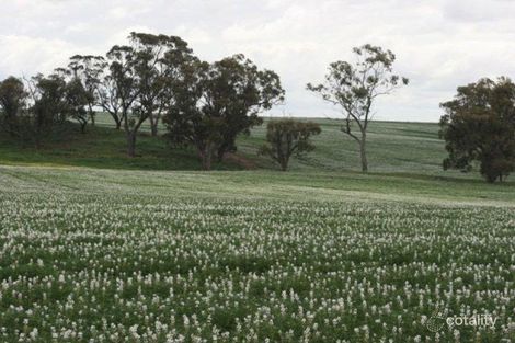 455 Rossmore Rd, Rossmore, WA 6401