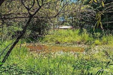 Property photo of 48 Caplick Way Eumundi QLD 4562