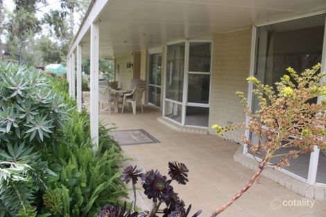 19 Lily St, Violet Town, VIC 3669