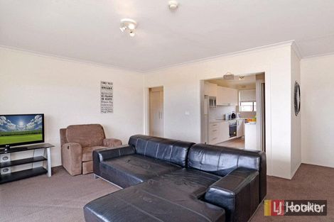 Property photo of 13/9-11 Taringa Street Ashfield NSW 2131