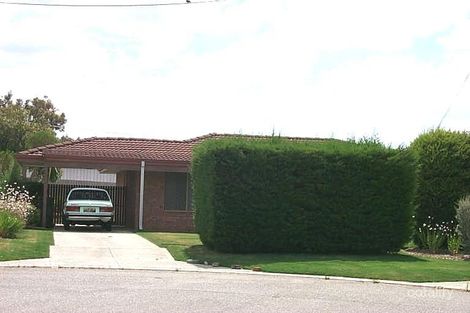 5 Wills Ct, Mirrabooka, WA 6061