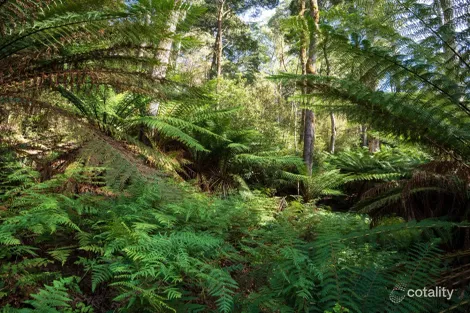 Property photo of LOT 5 Liena Road Liena TAS 7304