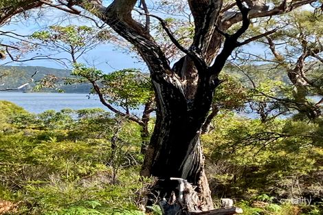 Property photo of 12 Howe Court Walpole WA 6398