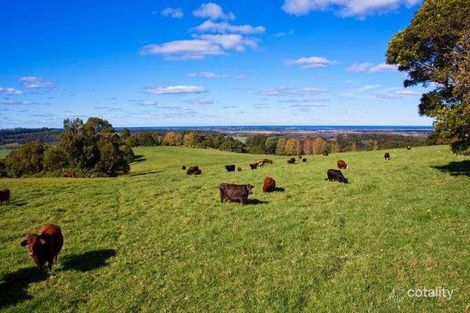 Property photo of 171 Leadbeatters Lane Alstonville NSW 2477