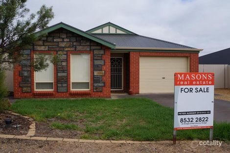 Property photo of 31 Jacaranda Street Murray Bridge SA 5253