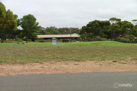 Property photo of 22 Randall Street Port Mannum SA 5238