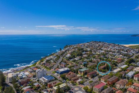 Property photo of 3/23 Boronia Street Dee Why NSW 2099