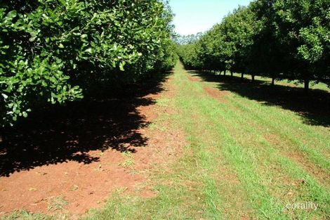 402 Cowlong Rd, Mcleans Ridges, NSW 2480