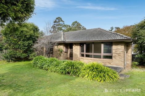 Property photo of 10 Highland Boulevard Ringwood VIC 3134