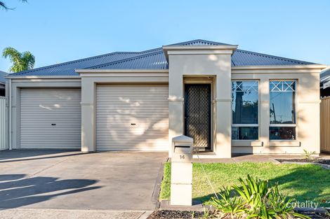 Property photo of 14 Windsor Grove Windsor Gardens SA 5087