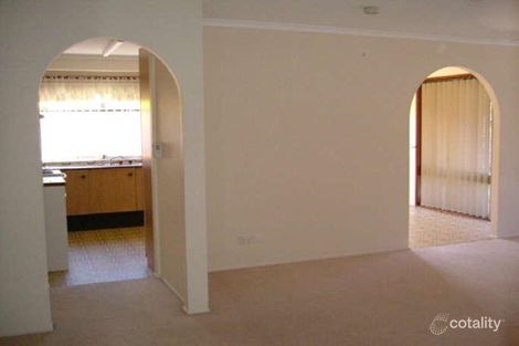 Property photo of 3 Padova Street Carseldine QLD 4034