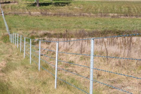 12 Four Mile Creek Rd, Tenterfield, NSW 2372