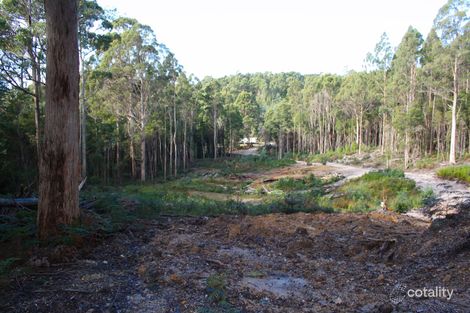 199 Pages Rd, Calder, TAS 7325