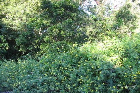 56 Curlew Ave, Pindimar, NSW 2324