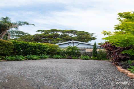 Property photo of 20 Clonmeen Circuit Anna Bay NSW 2316
