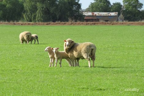 993 Hardings Rd, Picola, VIC 3639