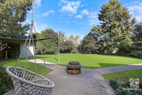 Property photo of 3 Quinton Court West Albury NSW 2640