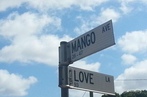 Property photo of 24 Mango Avenue Mundingburra QLD 4812
