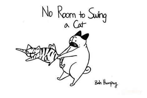 Property photo of 11 Lara Street Cranbrook QLD 4814