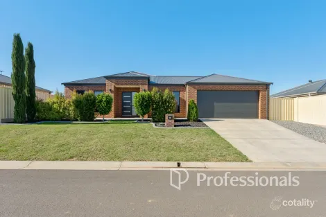 Property photo of 19 Joseph Court Red Cliffs VIC 3496