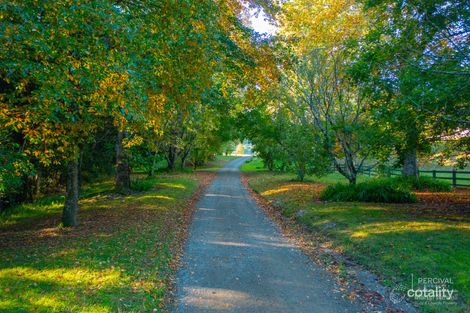 25 Coaldrakes Lane, Hannam Vale, NSW 2443