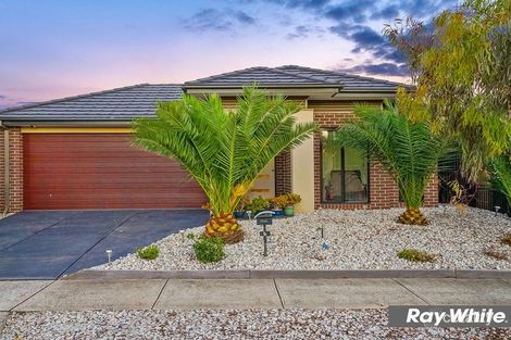 Property photo of 6 Brinbrook Street Tarneit VIC 3029