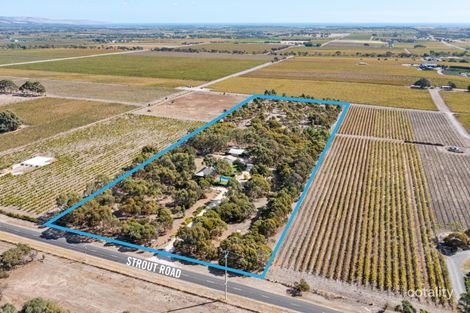 Property photo of 195 Strout Road McLaren Vale SA 5171