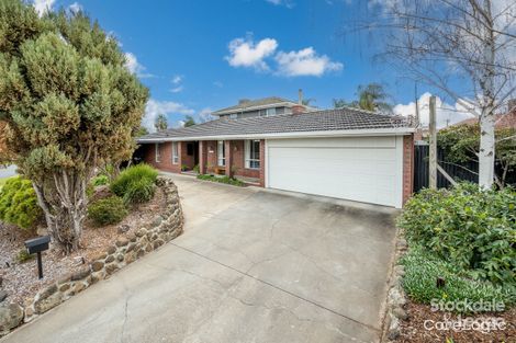 Property photo of 43 Lachlan Crescent Shepparton VIC 3630