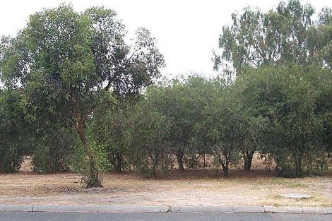 63 Gardiner St, Belmont, WA 6104