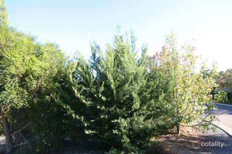 41 Homestead Dr, Aberfoyle Park, SA 5159