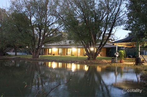 Property photo of 507 Piggins Road Hopefield NSW 2646