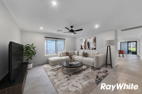 Property photo of 19 David Street North Booval QLD 4304