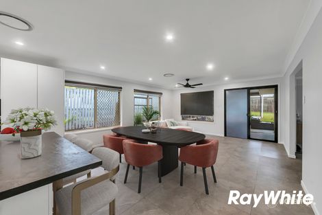 Property photo of 19 David Street North Booval QLD 4304