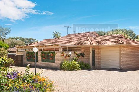 3/7 Orchid Ct, Geographe, WA 6280