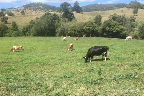 Property photo of 903 Mooloo Road Mooloo QLD 4570