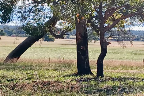 1271 Dobaderry Rd, Talbot West, WA 6302