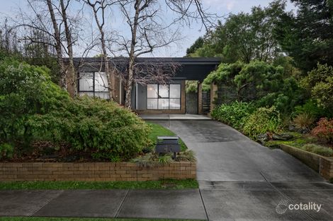 43 ORMOND AVE, MITCHAM, VIC 3132
