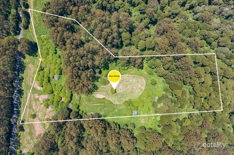 4275 Colac-Lavers Hill Rd, Weeaproinah, VIC 3237