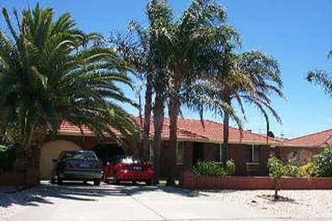 23 Stevenson Way, Spearwood, WA 6163