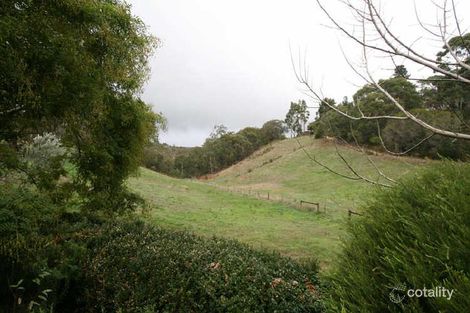 Property photo of 7 Wilbala Road Longwood SA 5153