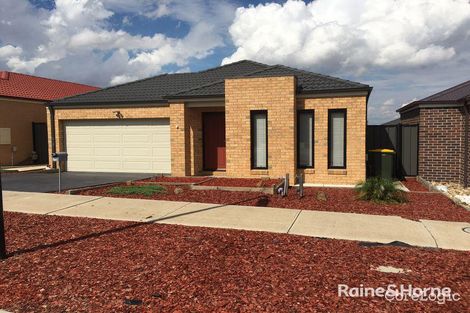 Property photo of 15 Cockatiel Circuit Craigieburn VIC 3064