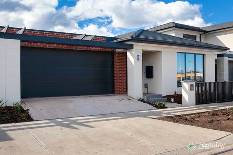 Property photo of 135 Billy Buttons Drive Narre Warren VIC 3805
