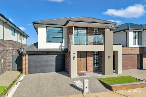 Property photo of 33 Haflinger Avenue Bonnie Brook VIC 3335